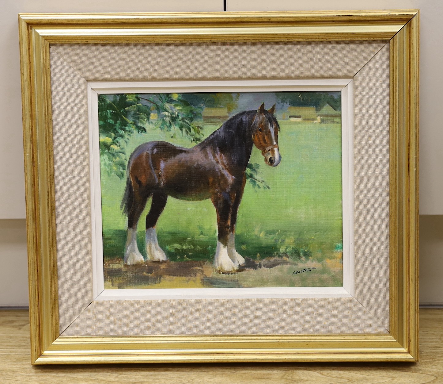 Frank Wootton (1914-1998), oil on canvas, 'Study of a Shire horse', signed and inscribed verso, 24 x 30cm